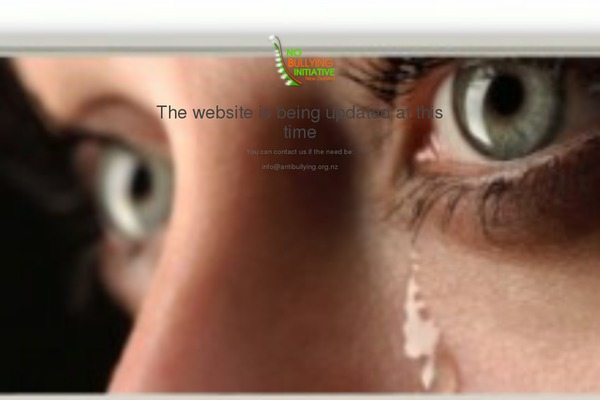 Catch Everest theme site design template sample