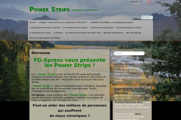 Voyage theme site design template sample