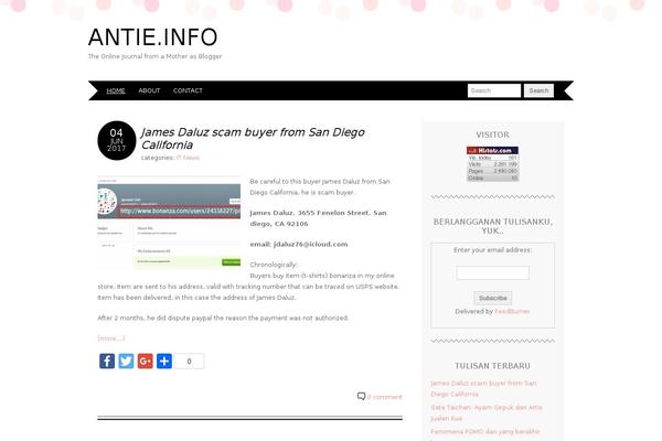 antie.info site used Squaretype