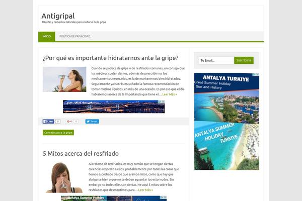 Iconic One Pro theme site design template sample