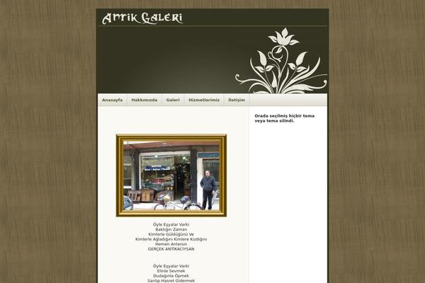 antikgaleri.com site used Natural-essence-10