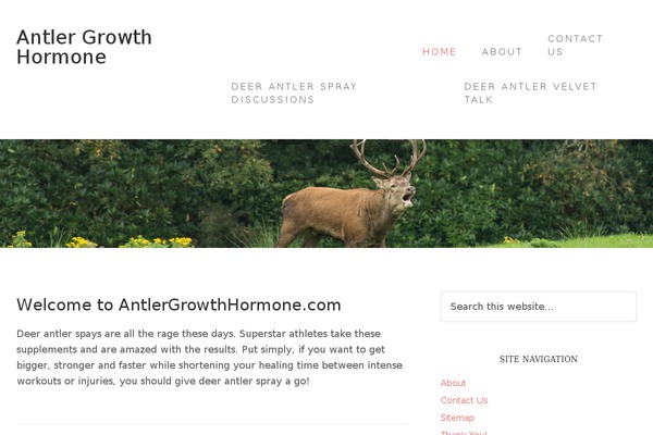 Beautiful Pro Theme theme site design template sample