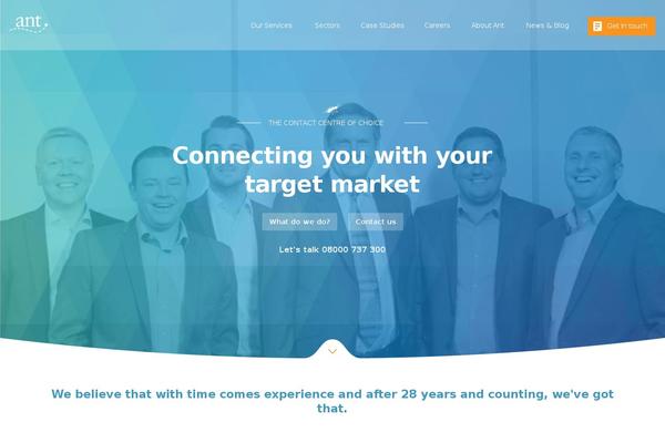 Ant theme site design template sample