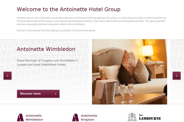 antoinettegroup.com site used Ant