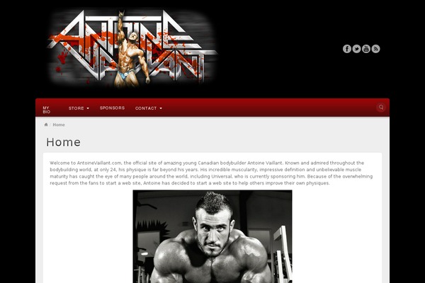 Site using Auto Thickbox plugin