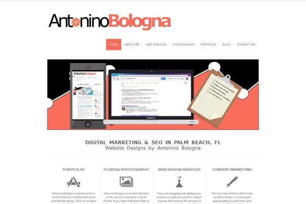 Site using Fanciest-author-box plugin