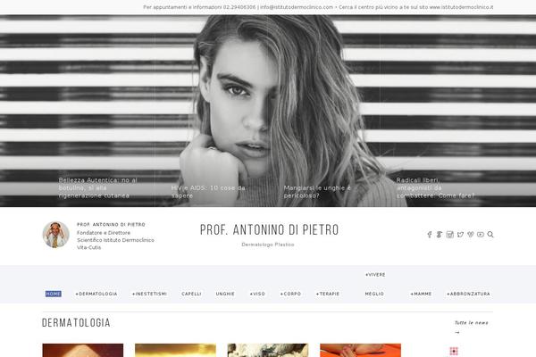 Site using YouTube Simple Gallery plugin