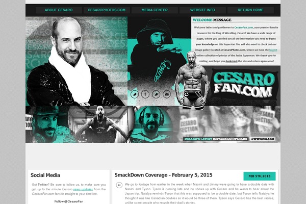 Site using All-In-One Cufon plugin