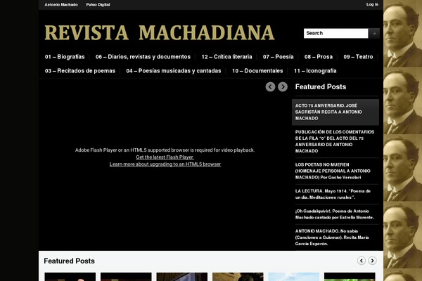 Magazinum theme site design template sample