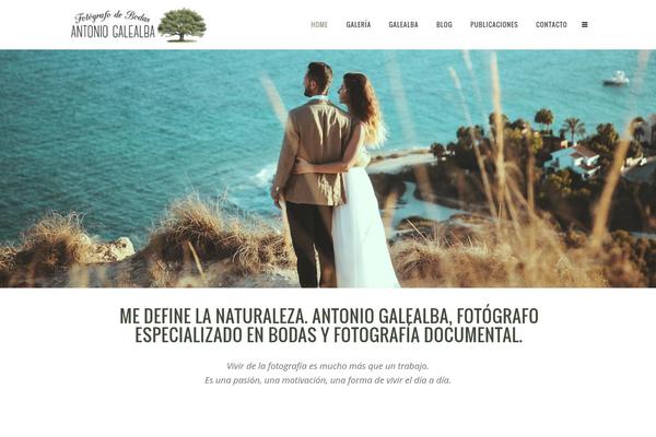 Vigor theme site design template sample