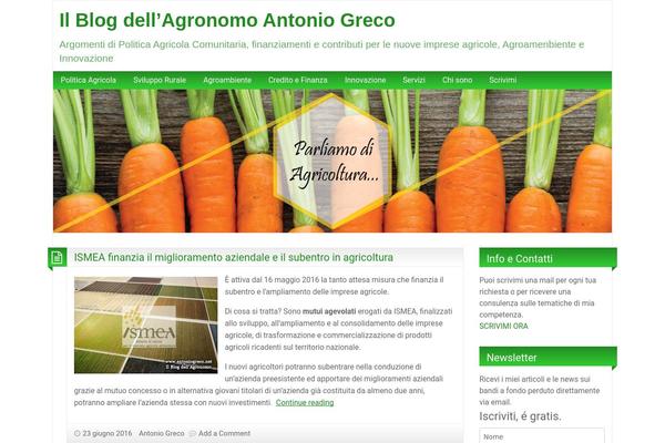 BlogoLife theme site design template sample