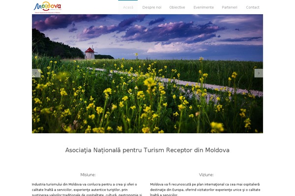 Mint theme site design template sample
