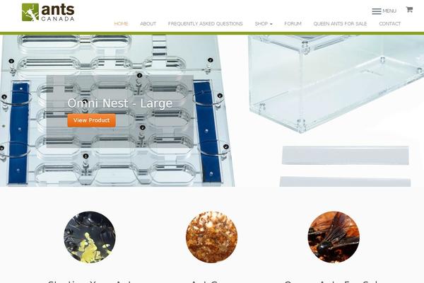 Customizr-child theme site design template sample