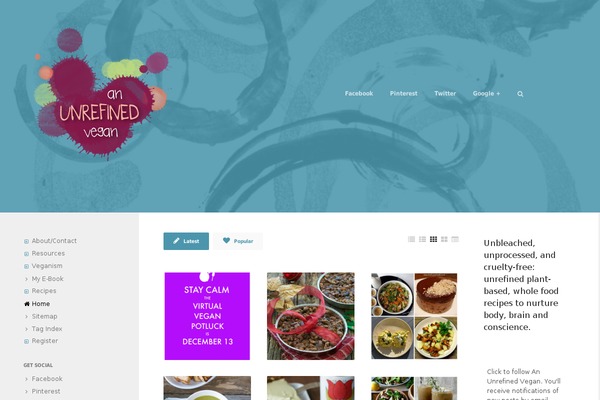 Site using Alpine PhotoTile for Instagram plugin
