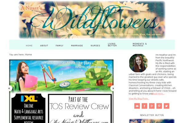 anurseswildflowers.com site used Foodie Pro