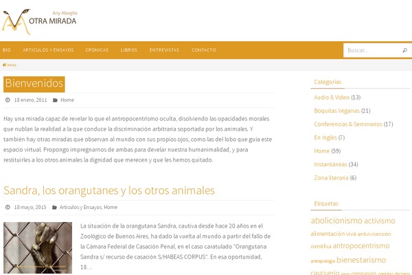 Nirvana theme site design template sample