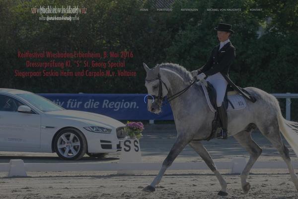 elision2 theme websites examples