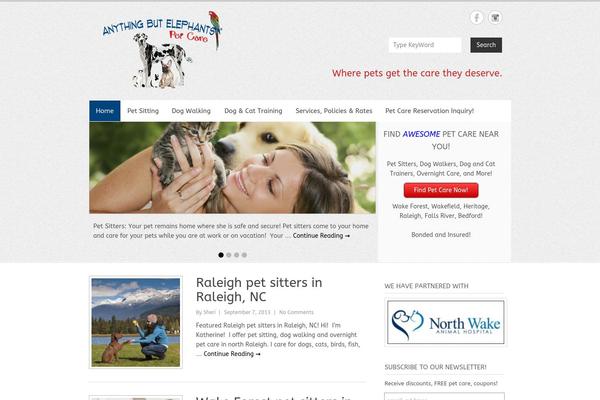Simple Catch Pro theme site design template sample