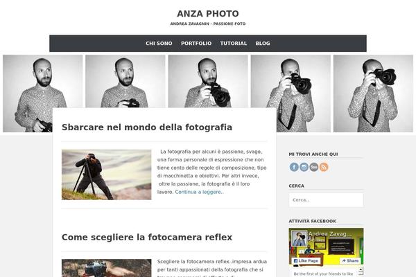 Chicago theme site design template sample