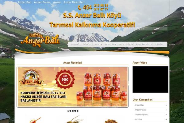 Virtue Premium theme site design template sample