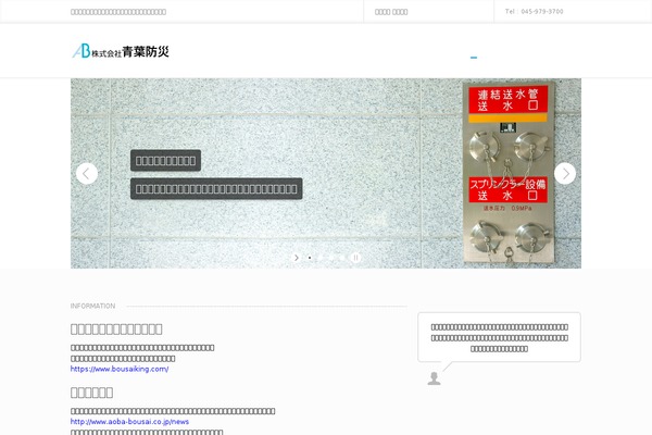 iBusiness theme site design template sample