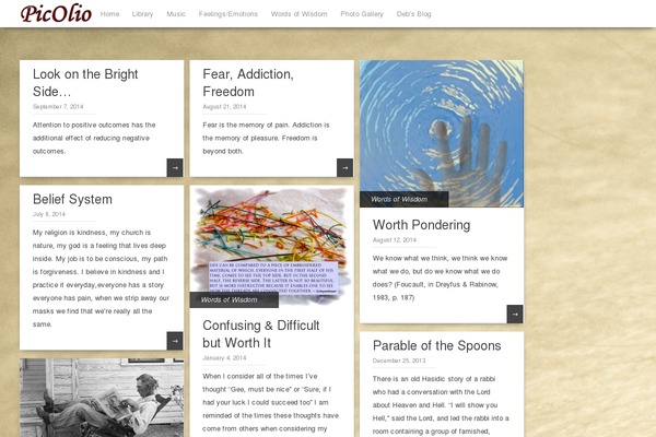 Pinbin theme site design template sample