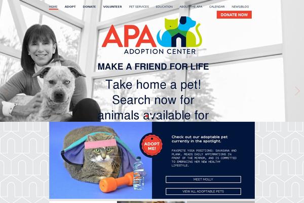 APA theme websites examples