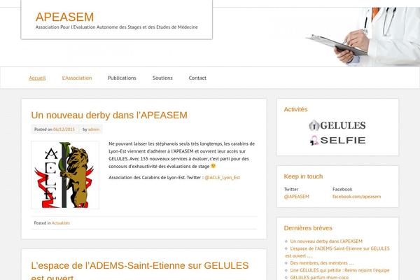 zeeMinty theme site design template sample