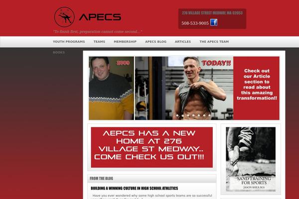 apec-s.com site used Fitpro-platinum