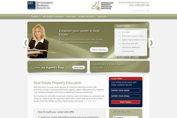 APEI theme websites examples