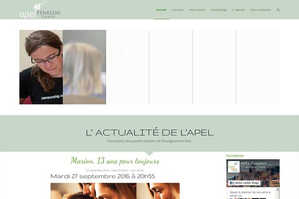 Enfold theme site design template sample
