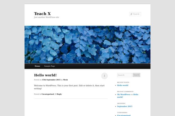 Duster theme site design template sample