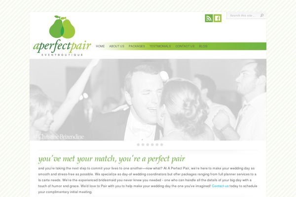 Chameleon theme site design template sample