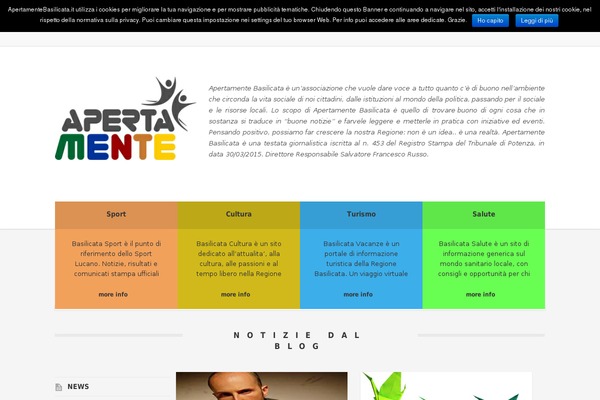 Tint theme site design template sample