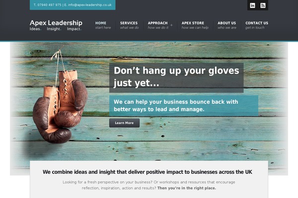 Venture theme site design template sample