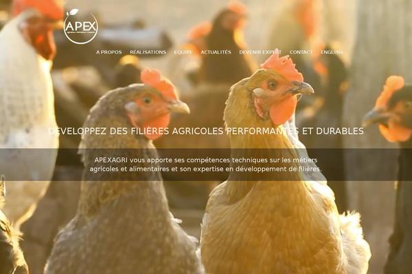 Vortex theme site design template sample