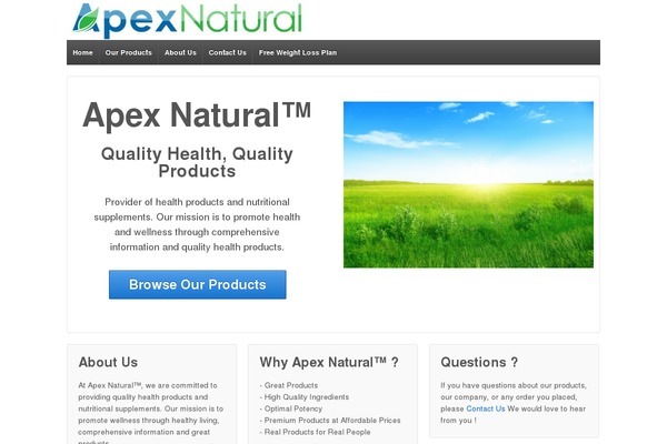 Responsive theme site design template sample