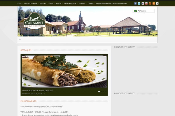 Widezine theme site design template sample