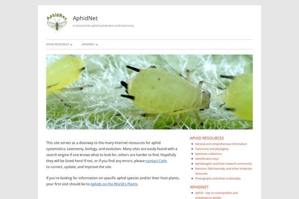 Tiny Framework theme site design template sample