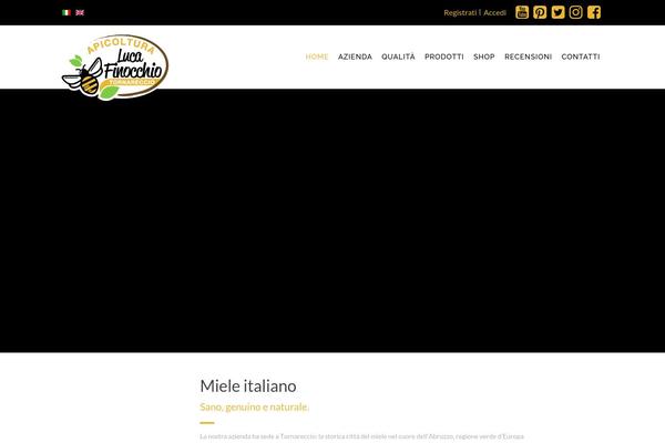 Site using Widget-options plugin