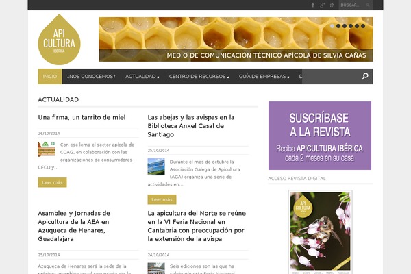 Magazon Wp theme site design template sample