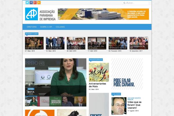 Api theme site design template sample