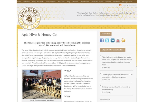 Busy Bee theme site design template sample