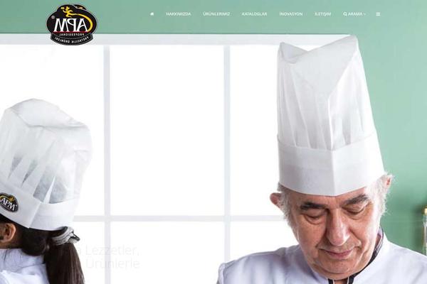 Elision theme site design template sample