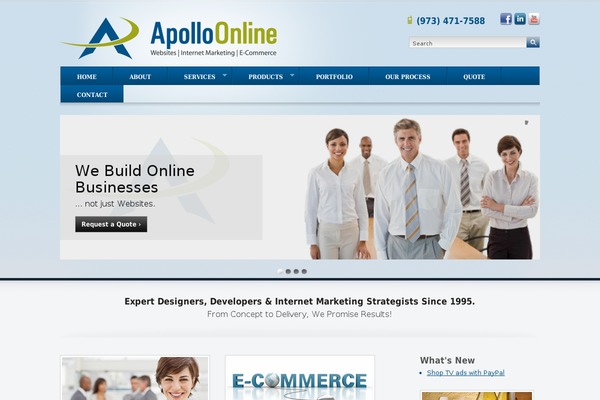 Apollo theme site design template sample