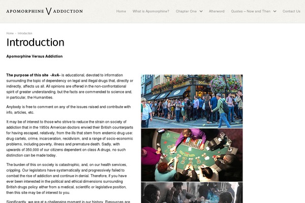 Peacemaker theme site design template sample