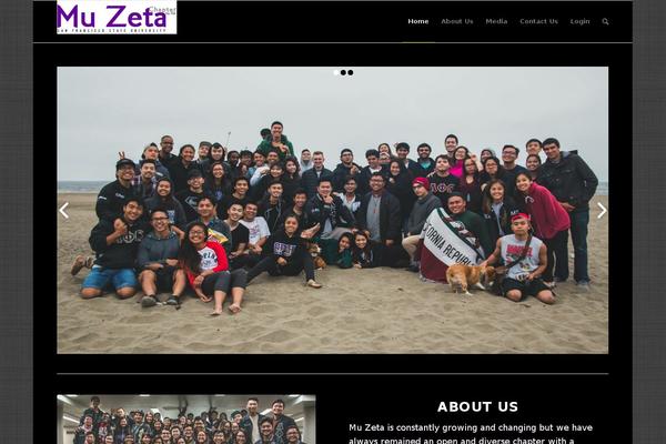 apomz.org site used Software-agency