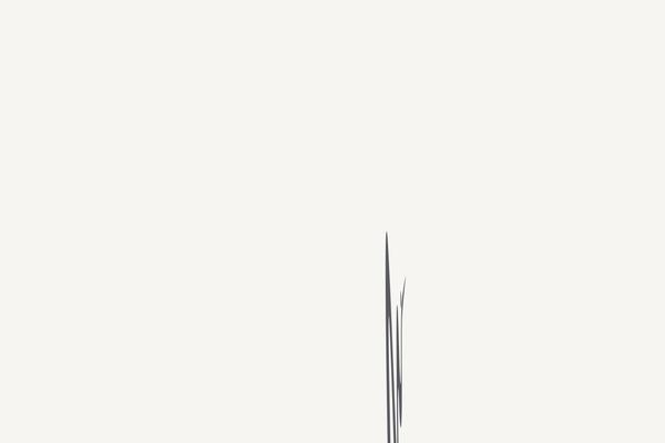 appartement-torri-seefeld.com site used Marcati-1920