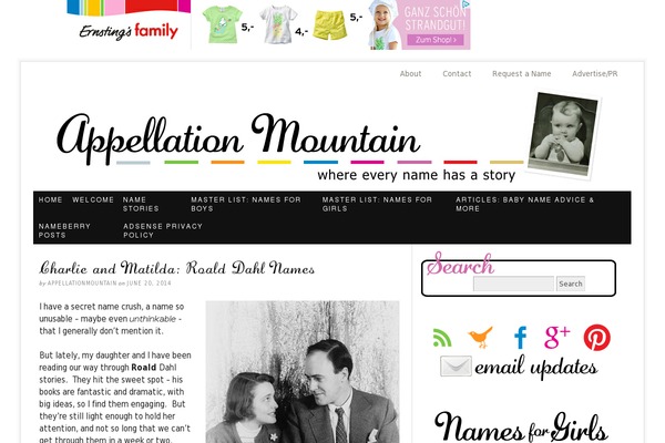 Lifestyle Pro theme site design template sample