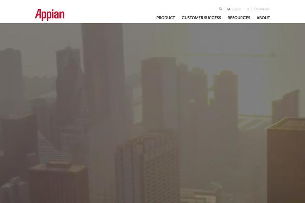 Custom Theme theme site design template sample
